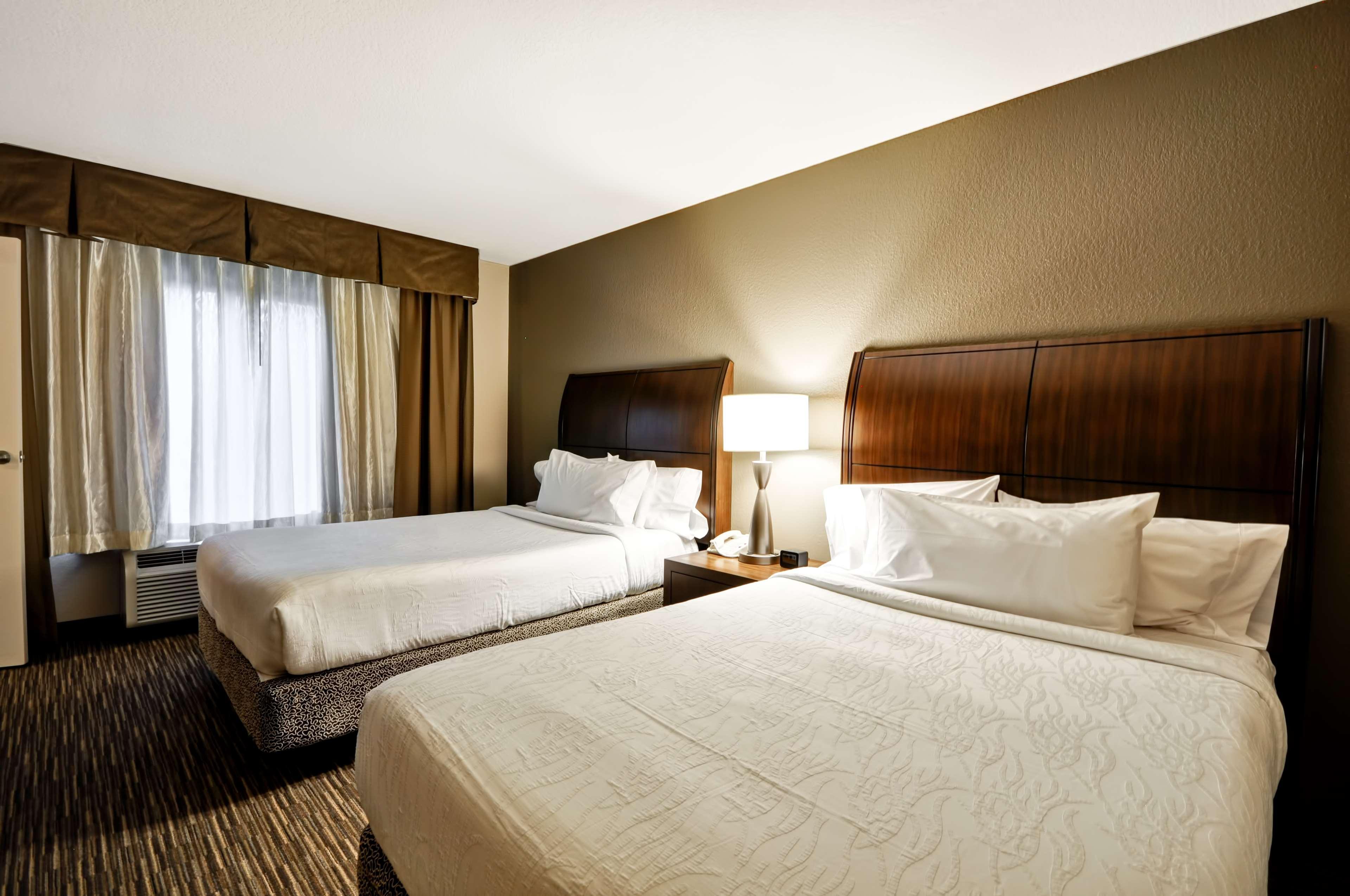 Hilton Garden Inn Tampa North Temple Terrace Esterno foto